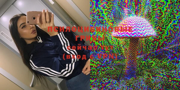 гидропоника Няндома