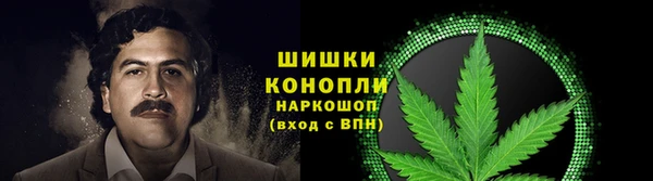 гидропоника Няндома
