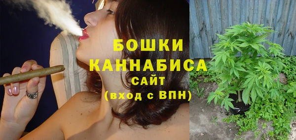 дмт Нязепетровск