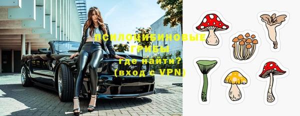 гидропоника Няндома